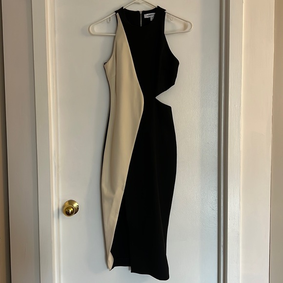 Brand new Elizabeth and James cocktail dress - Picture 3 of 4